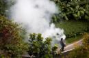 Singapur confirma 41 casos de Zika de transmisión local