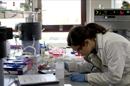 Una investigadora trabaja en el laboratorio. EFE/Archivo