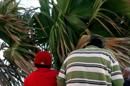 Unos chicos con obesidad infantil. EFE/Archivo