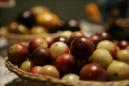 Imagen de archivo de la fruta amazónica camu-camu. EFE/Archivo