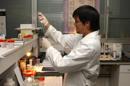 Un científico de un laboratorio experimienta con cromosomas. EFE/Archivo