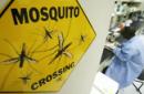 La UE da el visto bueno a la primera vacuna mundial contra la malaria
