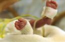 Vista de los pies de una niña nacida prematuramente, en una incubadora en un hospital. EFE/Archivo