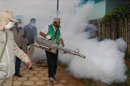 La campaña de prevención del dengue que se lleva a cabo en el República Dominicana consiste en la eliminación de chatarras en los patios, entrega de cloro, fumigación e información casa por casa. EFE/Archivo