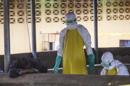 La de 2014 es la epidemia "más compleja" de ébola que se conoce hasta la fecha, con cerca de 4.000 casos registrados en África Occidental, según la OMS. EFE/Archivo