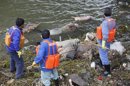 Los cerdos muertos en un río chino ponen luz sobre un sector negligente