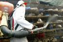 Al menos 282 personas han muerto en Arabia Saudí por el coronavirus desde que éste se detectara en el país por primera vez en septiembre de 2012, informó hoy el Ministerio de Sanidad. EFE/Archivo