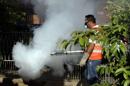 Un trabajador de la salud fumiga para combatir el dengue en un barrio de Asunción (Paraguay). EFE/Archivo