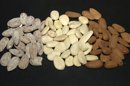 El estudio muestra beneficios en la fortaleza de los espermatozoides de quienes consumieron frutos secos, aunque los expertos advierten que se necesitarían más investigaciones para analizar si es extrapolable a los beneficios de la fertilidad. EFE/Archivo