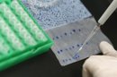 Un estudio genético desvela el origen de muchos tipos comunes de cáncer