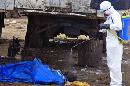 El cadáver abandonado en la calle de un hombre, que se cree habría muerto por el virus de ébola, es rociado con desinfectante en Liberia, la ciudad capital de Monrovia, el martes 12 de agosto de 2014. (Foto AP/Abbas Dulleh)