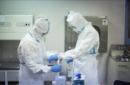 Unos trabajadores preparan muestras en un laboratorio. EFE/Archivo