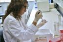 Una investigadora realiza unas pruebas de investigación genética. EFE/Archivo