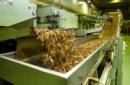 Proceso de fabricación de tabaco en una empresa de cigarrillos rubios y negros. EFE/Archivo