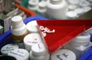 Muertes por sida en el mundo caen por mejor acceso medicamentos