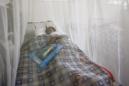 El estado Bolívar (sur) sigue siendo el foco que concentra la mayor cantidad de malaria en el país, con casi 80 % de los casos, y en lo que va de año 18.805 casos fueron exportados de Bolívar al resto de Venezuela. EFE/Archivo