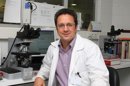 La supervivencia del trasplante de médula ósea puede aumentar hasta un 72% con una combinación farmacológica concreta