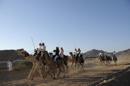 Arabia Saudí advierte del riesgo del virus MERS de los camellos