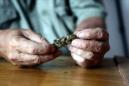Una persona prepara un cigarrillo de marihuana. EFE/Archivo