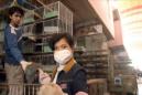 Trabajadores venden animales vivos en un mercado. EFE/Archvio