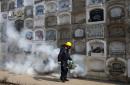 Un trabajador fumiga el cementerio El Angel para prevenir dengue, chikunguya y zika en Lima el 20 de enero del 2016. Estados Unidos recomendó a las mujeres embarazadas que no viajen a los países con brotes de zika, lo que puede afectar la recuperación de naciones que apuestan al turismo para que ayude a combatir una severa desaceleración económica. (AP Photo/Martin Mejia)