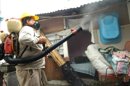 Según cifras del ministerio guatemalteco de Salud, a nivel nacional se han reportado 1.186 casos sospechosos de dengue, de los cuales se han confirmado 256 del tipo clásico y 26 de tipo hemorrágico. EFE/Archivo
