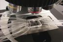Fotografía facilitada por el Instituto de Ciencias Fotónicas (ICFO) de Castelldefels (Barcelona), donde un equipo internacional de investigadores ha desarrollado un nano-chip, equipado con nano-partículas de oro, capaz de diagnosticar un cáncer en etapas precoces, cuando la enfermedad afecta a pocas células. EFE