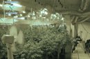 La Fiscalía de Tarragona ha abierto hoy diligencias informativas en relación con la decisión del pequeño pueblo tarraconense de Rasquera de permitir la plantación de cannabis en terrenos del municipio, una iniciativa destinada, según este consistorio, a paliar la crisis económica. EFE/Archivo