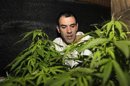 El Gobierno uruguayo envía al Parlamento la ley de la marihuana