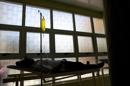El pasado 22 de mayo, el Gobierno de Panamá lanzó una primera "alerta preventiva" nacional tras detectar los dos primeros casos del virus chikunguña importados por un ciudadano brasileño y una dominicana. EFE/Archivo
