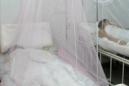 En las fronterizas provincias de Misiones y Formosa, donde se declaró la emergencia epidemiológica en enero, la situación es más grave, con más de 2.000 casos detectados. EFE/Archivo