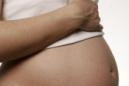 El reporte, realizado por científicos de la Universidad de California (UCLA), se basa en pruebas de sangre y orina de 88 mujeres embarazadas en Río de Janeiro (Brasil) entre septiembre de 2015 y febrero de 2016, un 29 % de las cuales presentó estas anormalidades en la gestación desconocidas hasta el momento. EFE/Archivo
