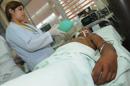 El chikunguña es un virus de origen africano, transmitido por el mismo mosquito que propaga el dengue, y tiene síntomas muy similares a esta enfermedad como fiebre repentina y dolores intensos en las articulaciones. EFE/Archivo