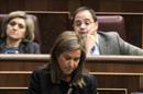 La ministra de Sanidad, Servicios Sociales e Igualdad, Ana Mato, durante su intervención en la sesión de control al Ejecutivo en el Congreso de los Diputados. EFE/Archivo