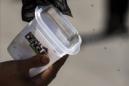 Un hombre sostiene un recipiente con mosquitos portadores de dengue. EFE/Archivo