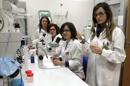 Gema Esquiva, Laura Fernández, Laura Campello y Agustina Noailles (d a i) forman parte del equipo científico de investigación de la Universidad de Alicante que ha obtenido una nueva línea celular que se puede usar para evaluar la eficacia clínica de fármacos en el tratamiento de enfermedades neurodegenerativas de la retina. EFE