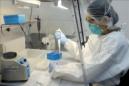Una microbióloga revisa varias muestras de sangre en un laboratorio del Centro Nacional de referencia de Virulogía, en San José, Costa Rica, el 27 de enero de 2016. EFE/Archivo