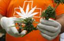 Según cálculos de la agencia europea, el cannabis es la droga ilegal más popular en Europa. EFE/Archivo