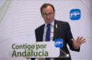 El ministro de Sanidad, Servicios Sociales e Igualdad, Alfonso Alonso. EFE/Archivo