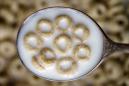 Imagen de archivo del 15 de junio de 2011 muestra una cuchara con cereal Cheerios con miel y nuez, en Pembroke, Nueva York. (Foto AP/David Duprey, archivo)