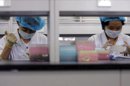 Dos investigadores trabajan con unas muestras en un laboratorio. EFE/Archivo