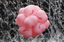 Más evidencia de que el tabaquismo aumenta el riesgo de morir por cáncer mamario