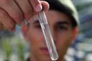 Un soldado brasileño muestra larvas del mosquito Aedes aegypti en la escuela donde el ministro de Salud inauguró una campaña de conscientización para erradicar ese insecto, que causa el virus del zika. Foto tomada en Brasilia el viernes 19 de febrero del 2016. (AP Photo/Eraldo Peres)
