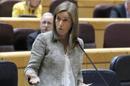 La ministra de Sanidad, Ana Mato, durante su intervención en la sesión de control al Gobierno celebrada esta tarde en el pleno del Senado. EFE