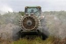 Grupos agrícolas piden en EEUU una mejor supervisión de los transgénicos
