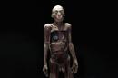La exposición "Human Bodies", que exibe doce cadáveres plastinados en universidades españolas y mas de 150 órganos humanos reales, se presentó hoy en Barcelona, donde estrena nueva musealización. EFE