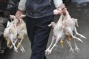 Un vendedor carga con varias gallinas sacrificadas hacia su puesto en un mercado de Furáng, en la provincia de Anhui, China. EFE/Archivo