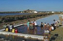 Fotografía cedida por el Centro de Recursos Ambientales "Salinas de Chiclana", en la Salina Santa María de Jesús, que ofrece este curioso "spa salino", unos baños curativos para piernas y brazos que aprovechan la calidad de unas aguas procedentes del mar y que pasan entre uno y dos meses expuestas a los efectos del sol y el viento. EFE