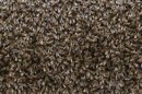 La UE prohíbe un pesticida de BASF por temor a que afecte a las abejas