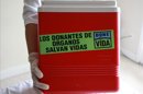 Una enfermera sosteniendo una caja de transporte de órganos con un mensaje en español. EFE/Archivo